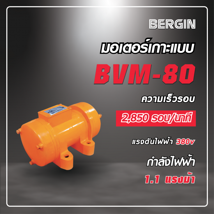 มอเตอร์เกาะแบบ  BVM-80 380V
